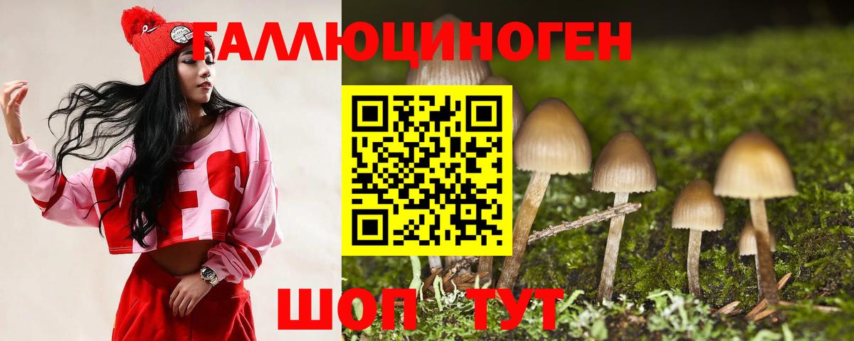 Галлюциногенные грибы MAGIC MUSHROOMS  Галлюциногенные грибы MAGIC MUSHROOMS  Железногорск  Вход с VPN 
